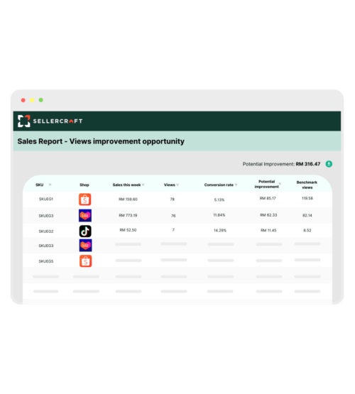 Sellerwizard - product views improvement opportunity